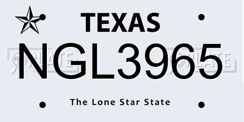 NGL3965 Texas License Plate