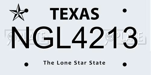 NGL4213 Texas License Plate