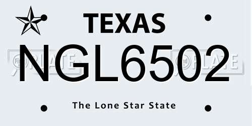 NGL6502 Texas License Plate