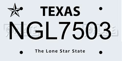 NGL7503 Texas License Plate