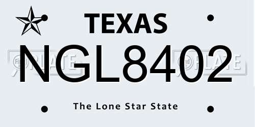NGL8402 Texas License Plate
