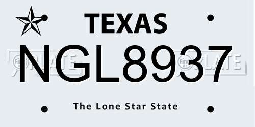 NGL8937 Texas License Plate