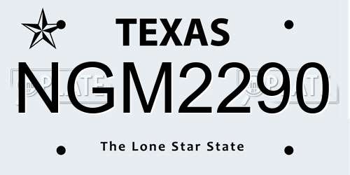 NGM2290 Texas License Plate