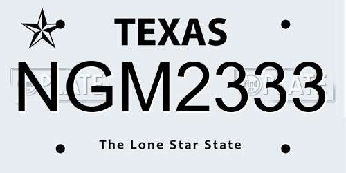 NGM2333 Texas License Plate