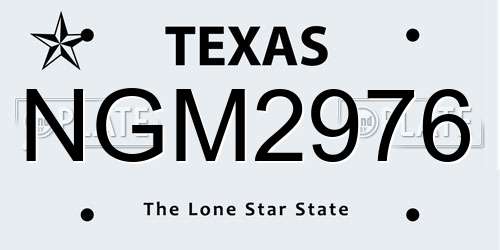 NGM2976 Texas License Plate