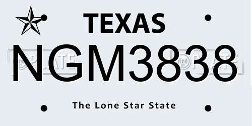 NGM3838 Texas License Plate