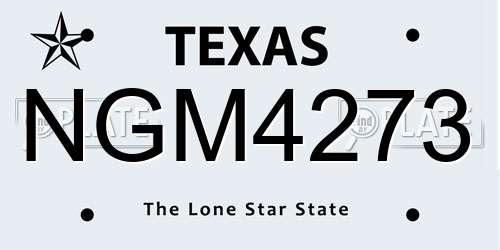 NGM4273 Texas License Plate
