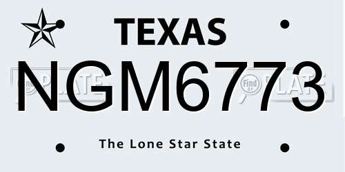 NGM6773 Texas License Plate