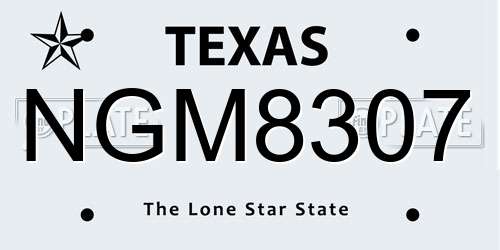 NGM8307 Texas License Plate