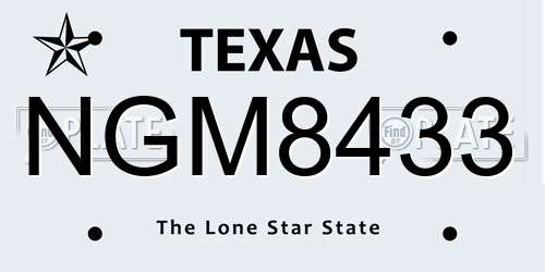 NGM8433 Texas License Plate