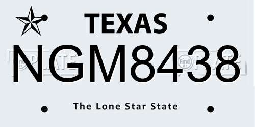 NGM8438 Texas License Plate