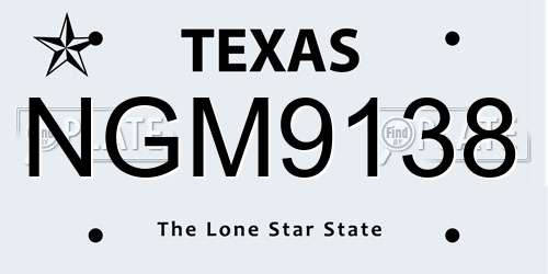NGM9138 Texas License Plate