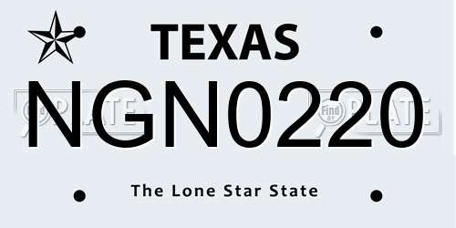 NGN0220 Texas License Plate
