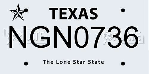 NGN0736 Texas License Plate