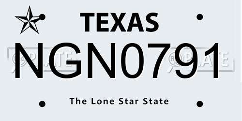 NGN0791 Texas License Plate