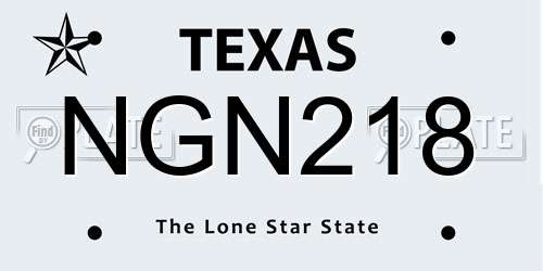 NGN218 Texas License Plate