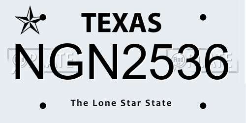 NGN2536 Texas License Plate
