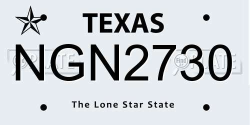 NGN2730 Texas License Plate