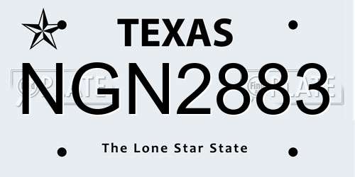 NGN2883 Texas License Plate
