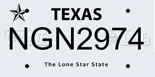 NGN2974 Texas License Plate