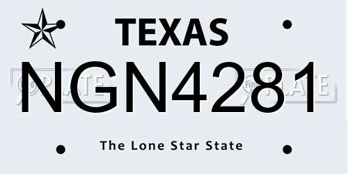 NGN4281 Texas License Plate