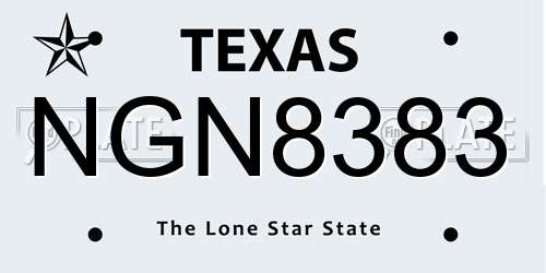 NGN8383 Texas License Plate