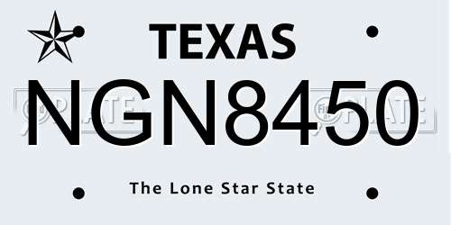 NGN8450 Texas License Plate