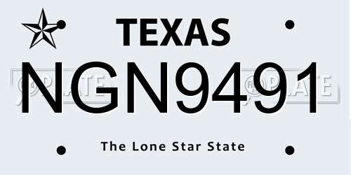 NGN9491 Texas License Plate