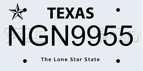 NGN9955 Texas License Plate
