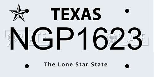 NGP1623 Texas License Plate