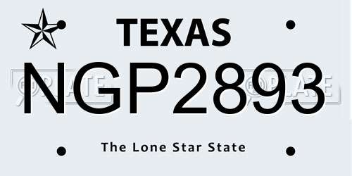 NGP2893 Texas License Plate