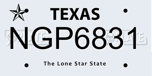 NGP6831 Texas License Plate