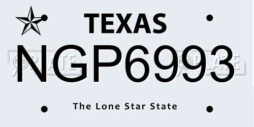NGP6993 Texas License Plate