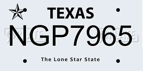 NGP7965 Texas License Plate