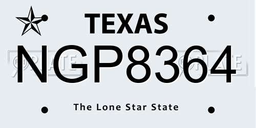 NGP8364 Texas License Plate