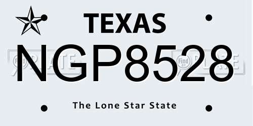 NGP8528 Texas License Plate