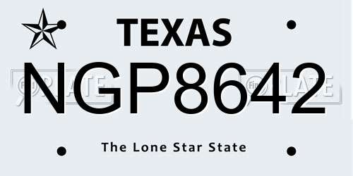NGP8642 Texas License Plate