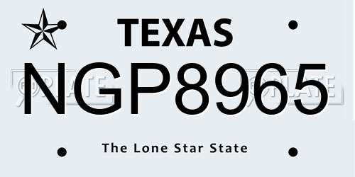 NGP8965 Texas License Plate