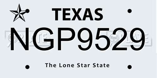 NGP9529 Texas License Plate