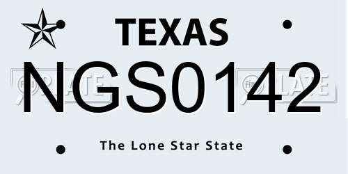 NGS0142 Texas License Plate