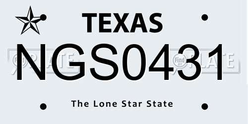 NGS0431 Texas License Plate