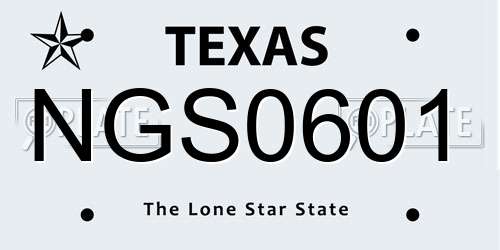 NGS0601 Texas License Plate