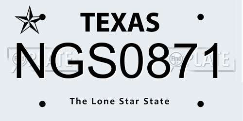 NGS0871 Texas License Plate