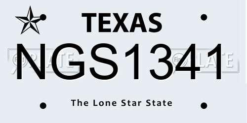 NGS1341 Texas License Plate