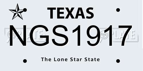 NGS1917 Texas License Plate