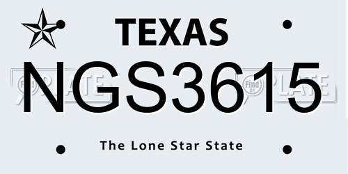 NGS3615 Texas License Plate