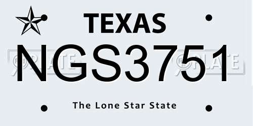 NGS3751 Texas License Plate
