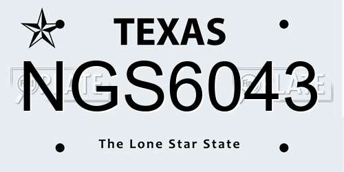 NGS6043 Texas License Plate