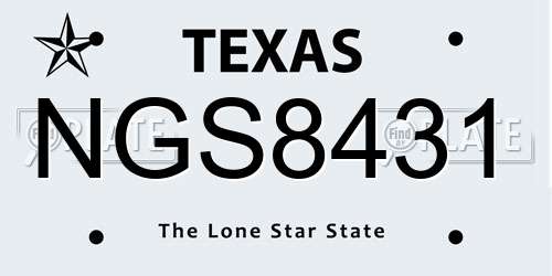 NGS8431 Texas License Plate
