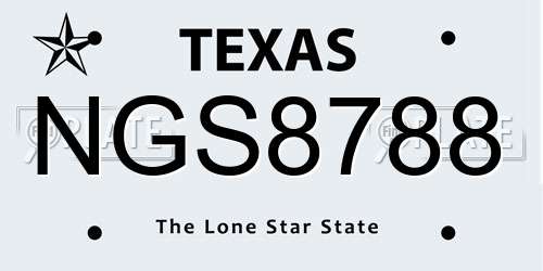 NGS8788 Texas License Plate